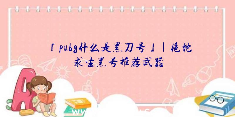 「pubg什么是黑刀号」|绝地求生黑号推荐武器